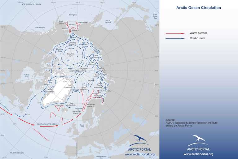 Arctic Portal Map - Arctic Currents